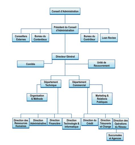 Structure organisationnelle de la BNC
